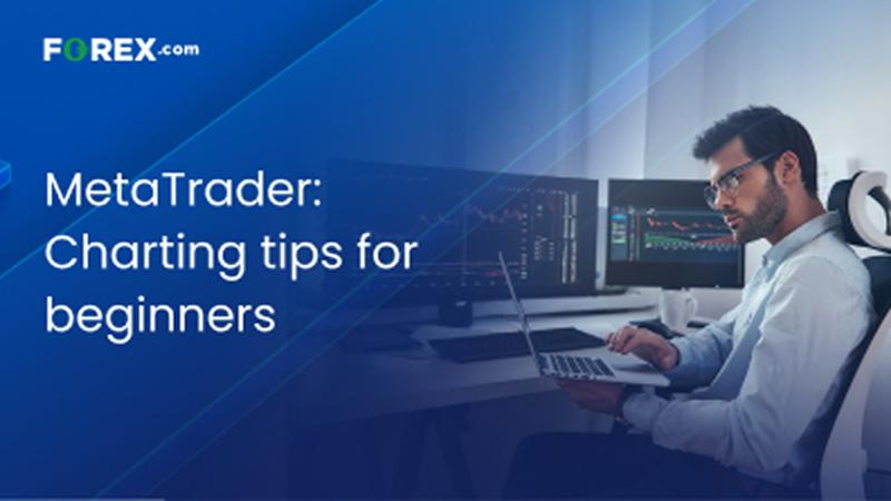 Feature - Video tutorials - MetaTrader charting tips for beginners