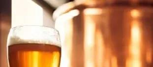 Pint of BrewDog IPA