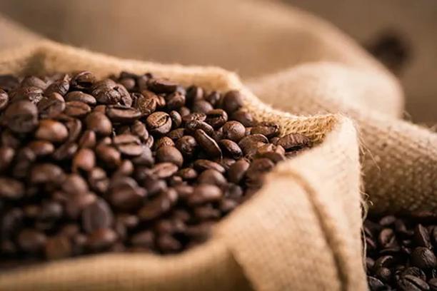 Coffee beans in hessian sacks