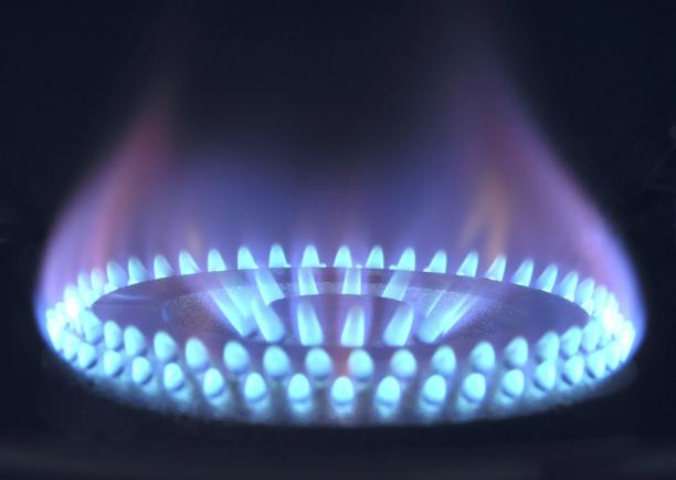 Close-up of a gas stove burner with evenly distributed blue flames