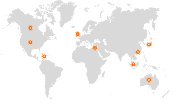 Gray world map showing continents and countries on a white background